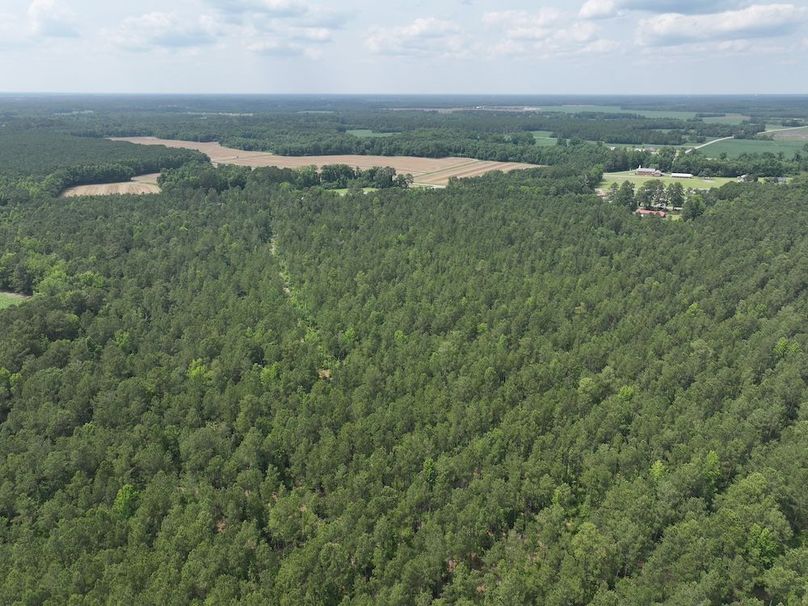 DJI_20250604142021_0091_D