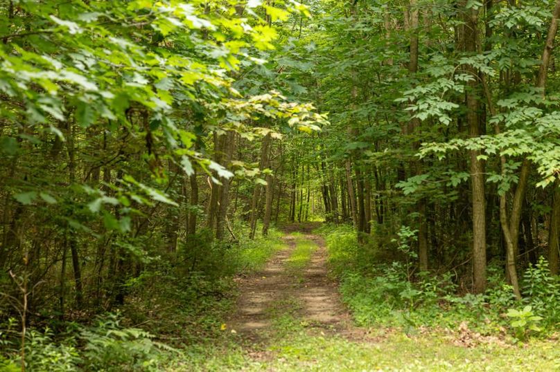 120 Trails Throughout