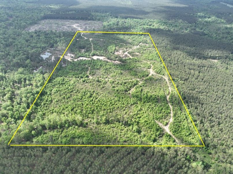 dji_fly_20260415_105054_384_1776345112197_photo (1)