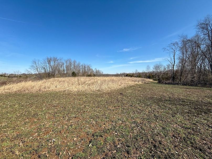 Fleming Petry 115-56