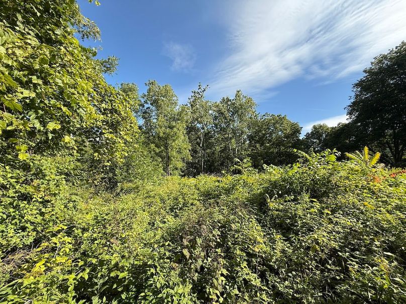 Cayuga_5.7_Cotten Photo 12