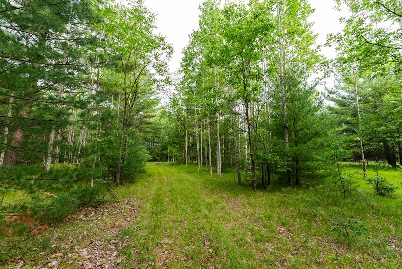 Ogemaw MI 475 Featured Pro Photo-01361