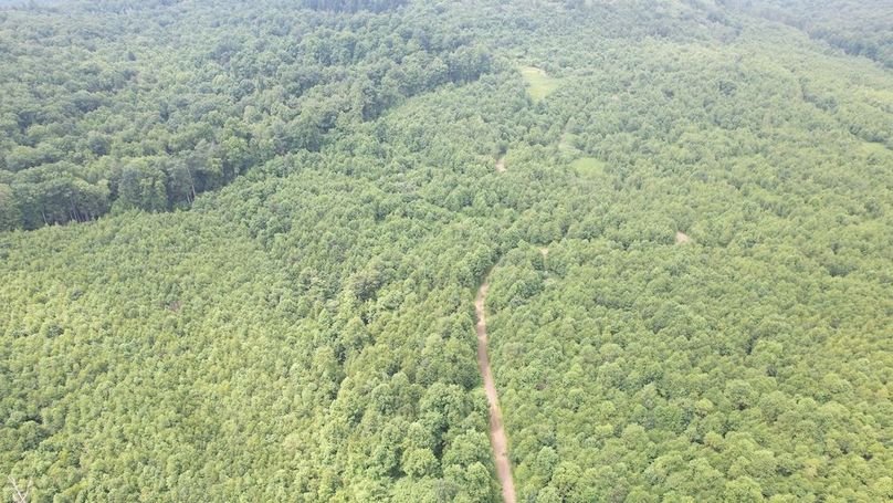 dji_fly_20240621_113918_304_1718984639484_photo