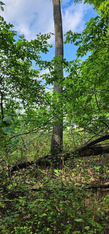 382336417_213380188227542_952586051629310161_n