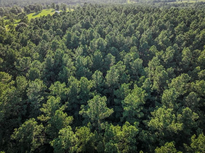 Copy of DJI_20240704185933_0011_D