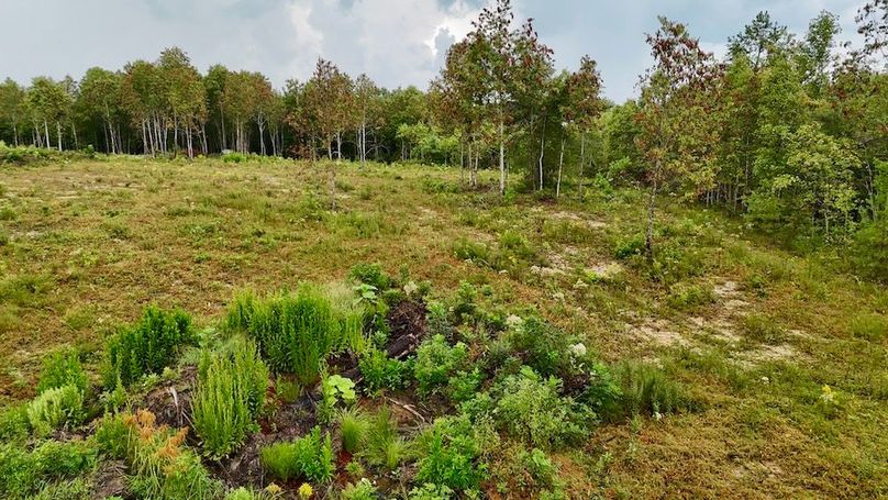 DJI_20250820180350_0083_D