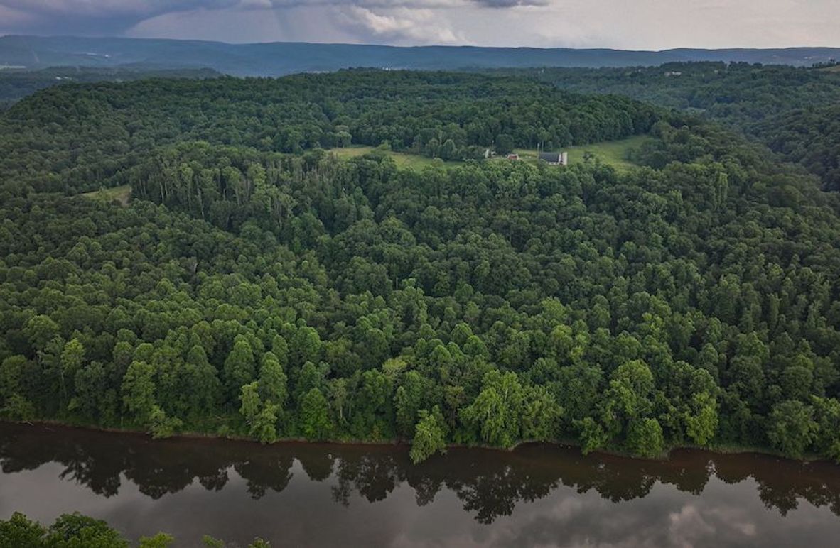 Fayette, 14.14, Kokot-04