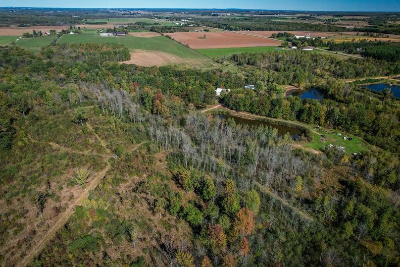 Wood 41.451, Collins -46