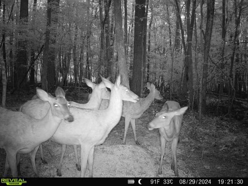 867490071175496-70-3-08292024192130-W1001970_29256679747692