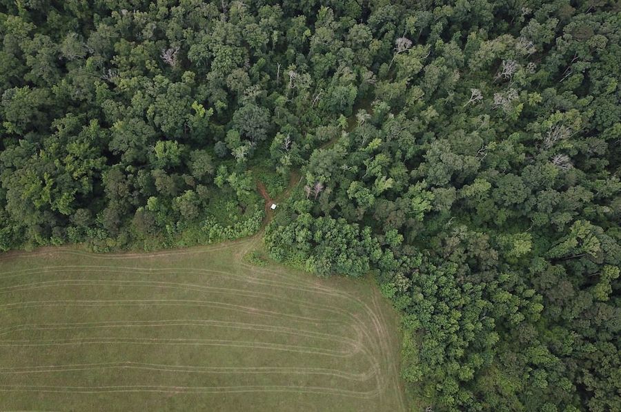 DJI_0005