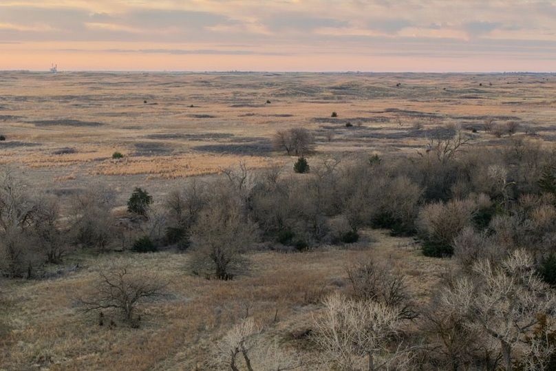 DJI_20260311081519_0517_D