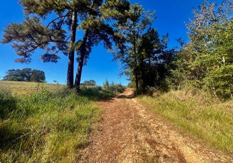 ACDFD2E3-ECB0-46E9-910B-7425CA40D6CC_1_105_c