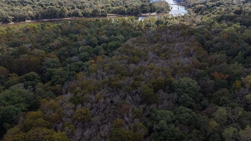 DJI_20241023124135_0010_D