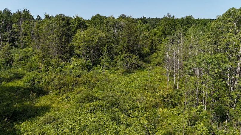 DJI_20250730104138_0328_D