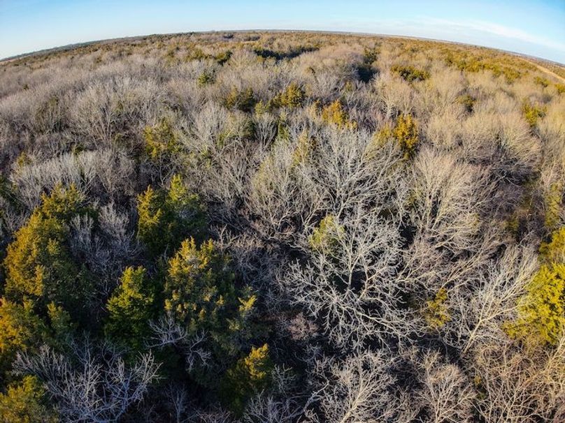 DJI_20251220154321_0119_D