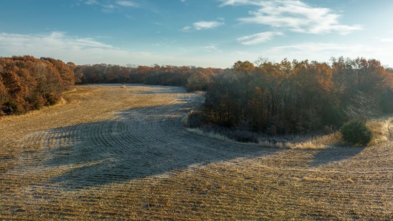 DJI_0123-HDR