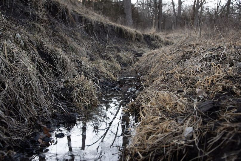 MONTGOMERY CO IA 156.78_42