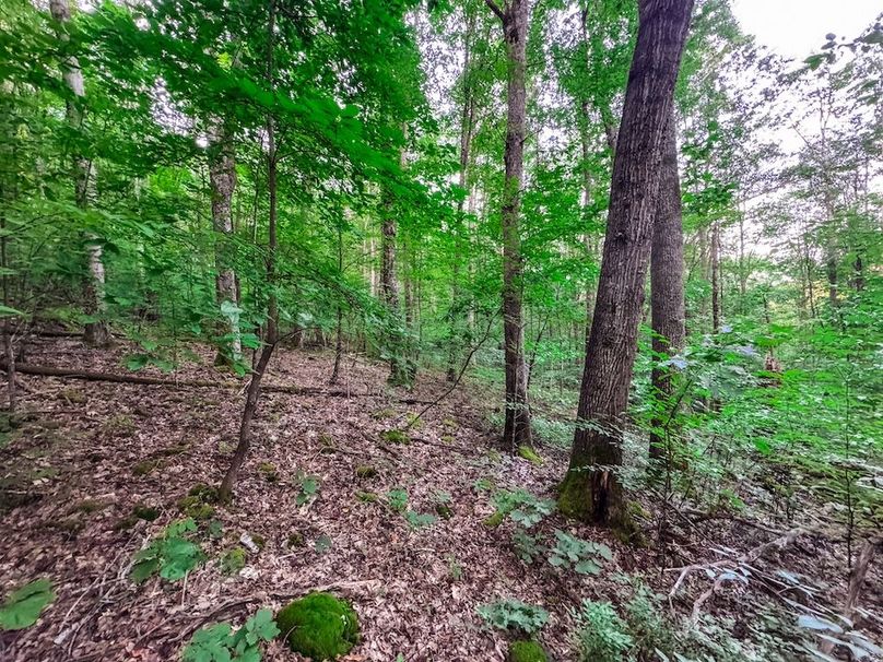 Webster, WV 42 AC Barger-20