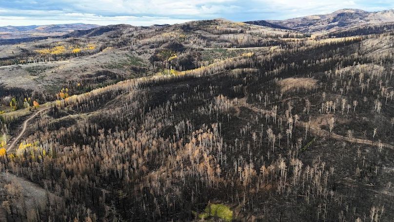 DJI_20250927082223_0013_D