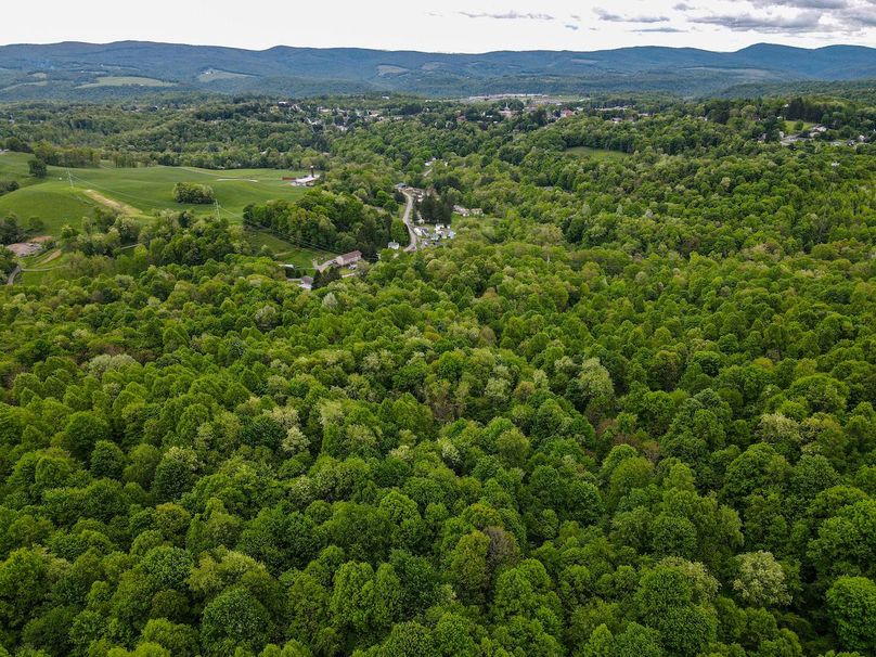 dji_fly_20240511_115530_97_1715443034726_photo