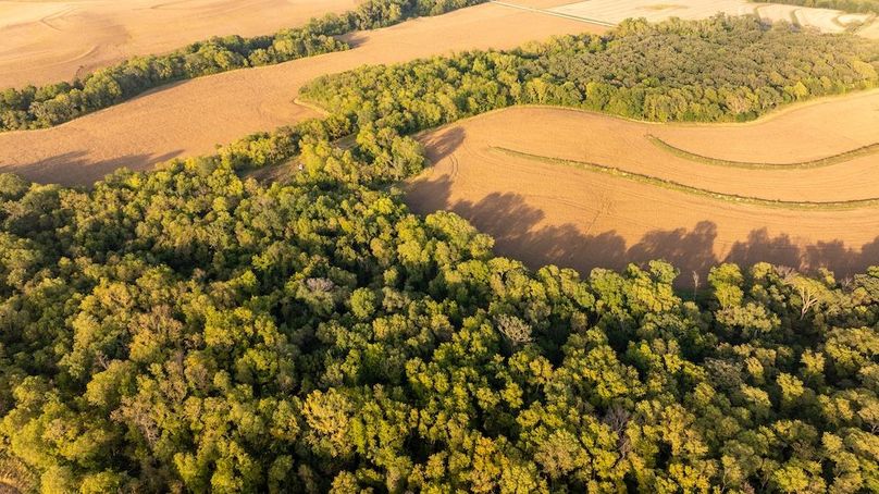 Copy of POTTAWATTAMIE CO IA 311 TRACT 3_38