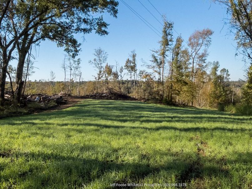 Claiborne Co-151-Geronimo-33