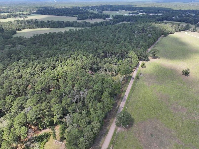 dji_fly_20250929_130708_0569_1759177334831_photo