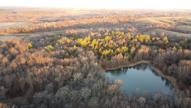 DJI_0375