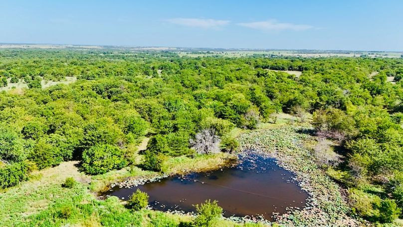 dji_fly_20250728_102448_0060_1753739682874_photo