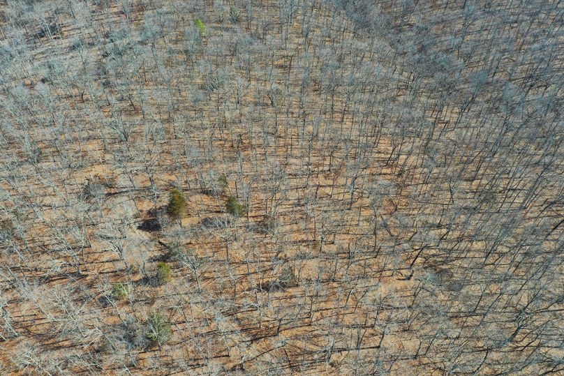 12-DJI_0972