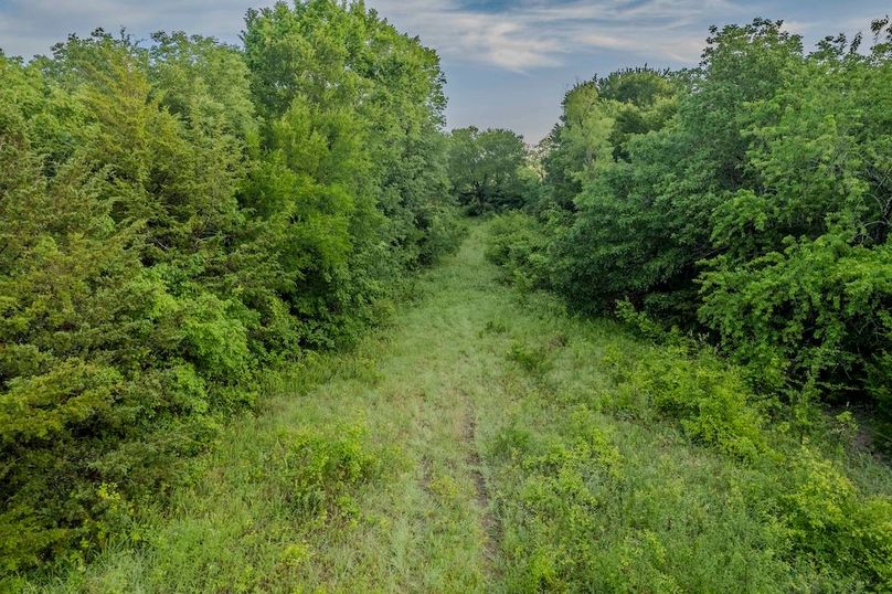 Fannin County- Pecan Ridge (47 of 53)