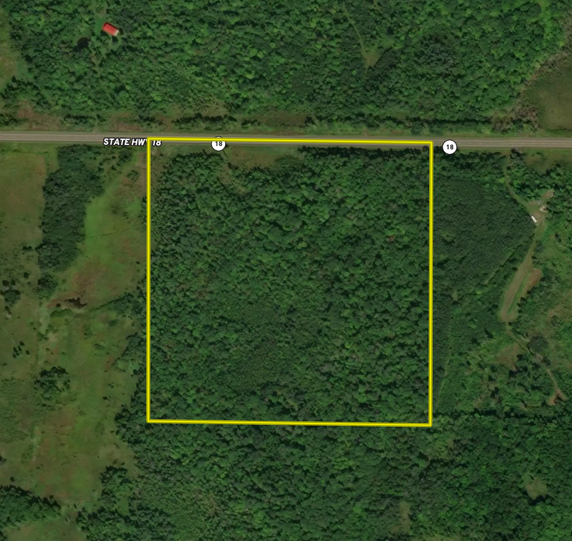 Screenshot 2024-06-11 at 2.14.39 PM