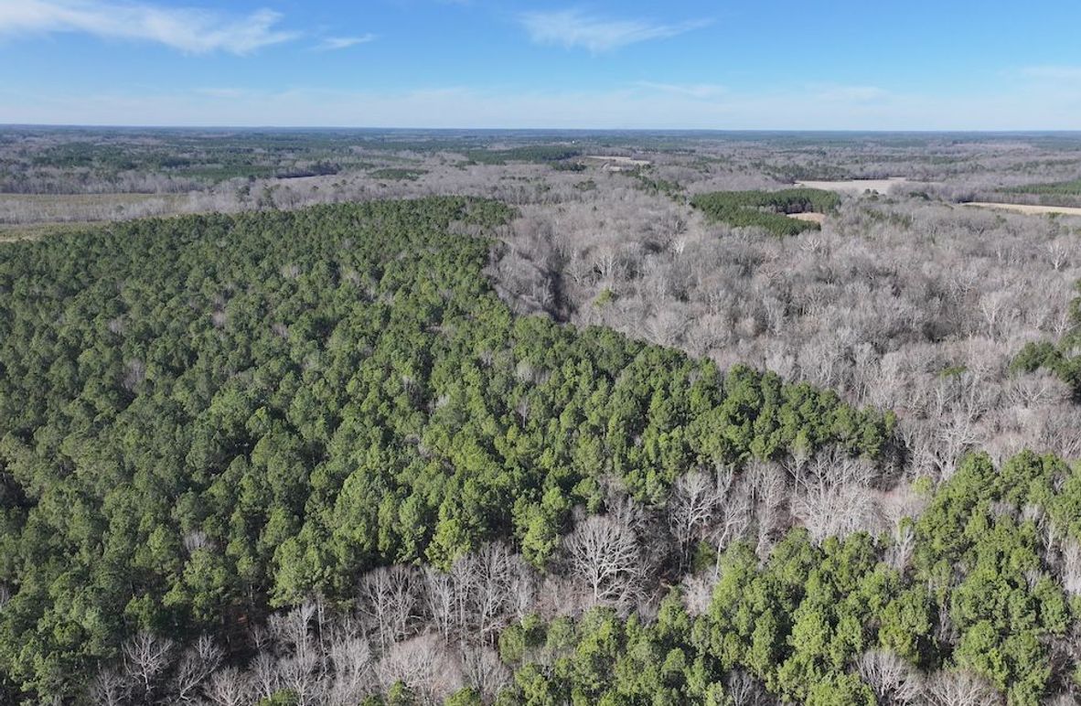 DJI_20260101140958_0290_D