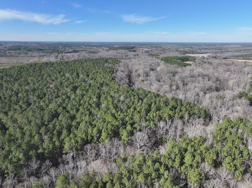 DJI_20260101140958_0290_D