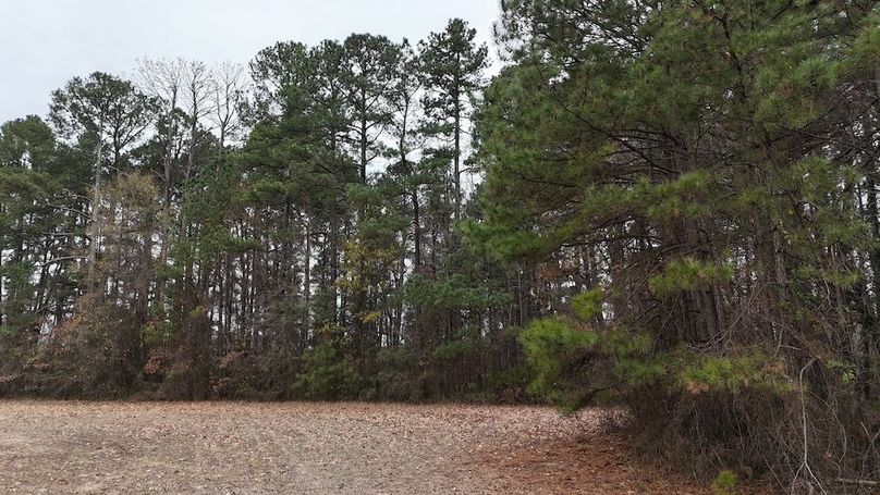 dji_fly_20251212_130034_0108_1765562203297_photo