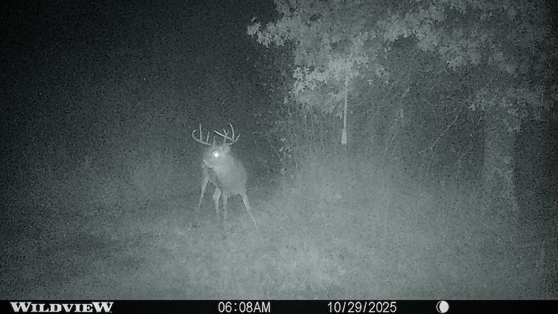 Adams 263.17, Hale -87