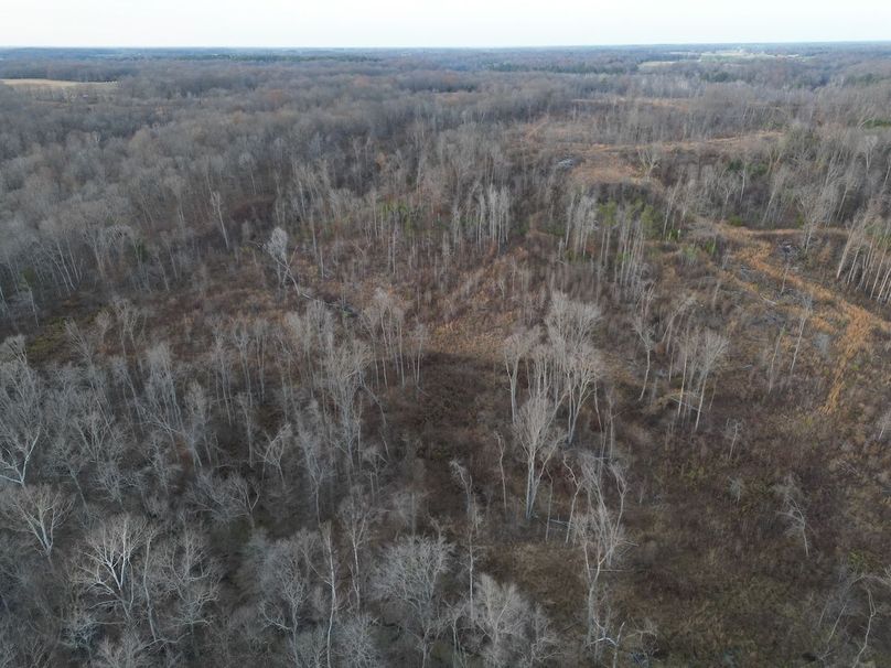 dji_fly_20231130_052308_260_1701905205596_photo