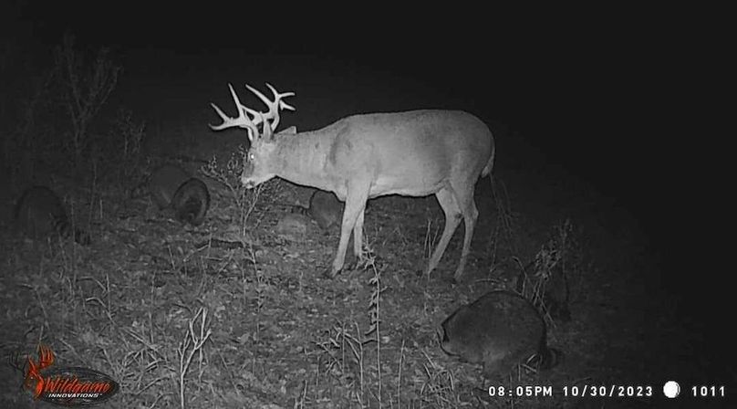 received_1574343606466247