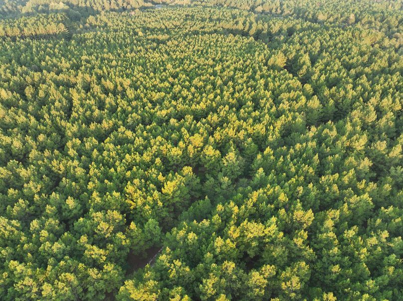 dji_fly_20230925_074510_744_1695642641735_photo