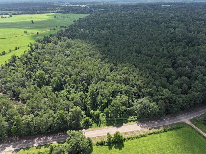 dji_fly_20250708_105116_0208_1752089887417_photo