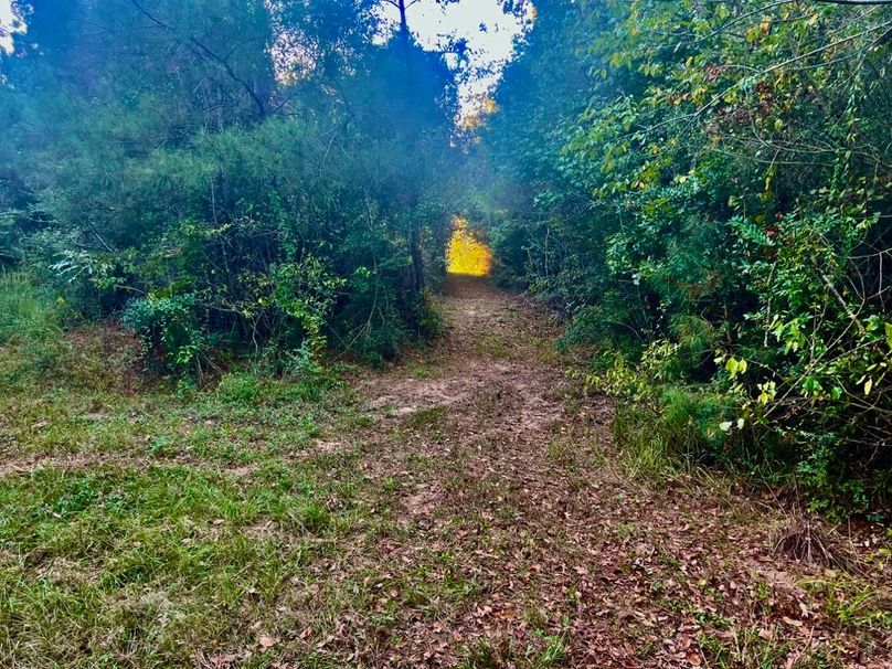 5935BA0C-9A23-4AAB-8385-7CCB2A10CE7D_1_201_a