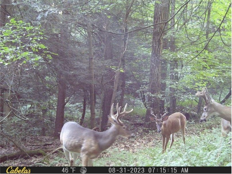 Screenshot 2026-02-25 213938