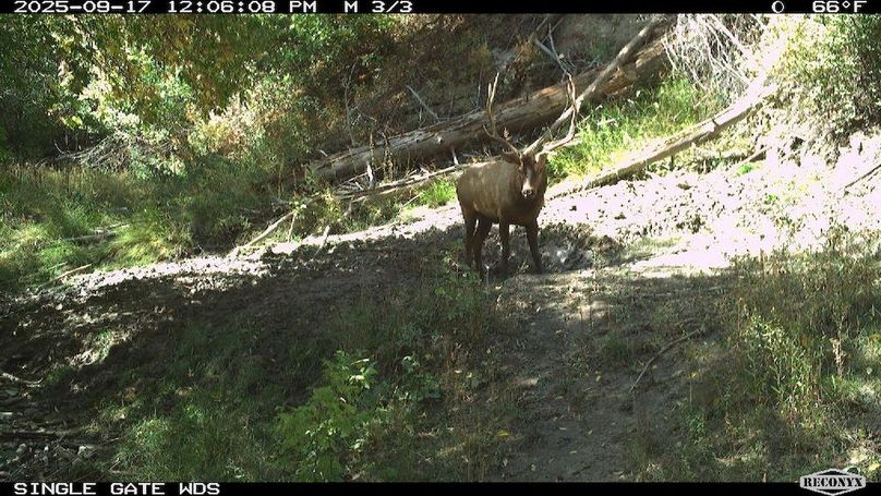 BBC14B1F-CCD1-48FD-B3B9-E725522D9480