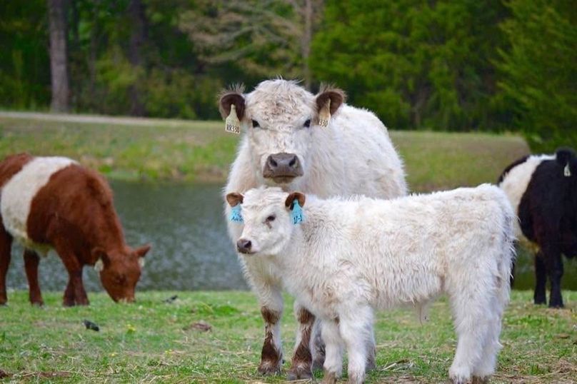 DJI_20250912004716_0392.1_D