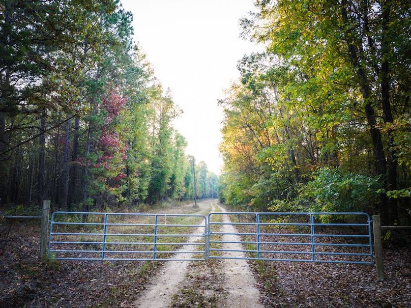 Clay 302.7 Henderson-47