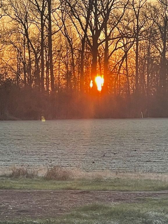 759DC007-2A5F-4291-91F1-17FE792B2BFB