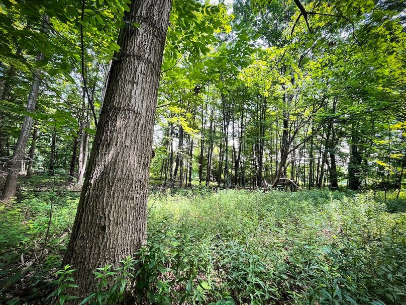 Oswego_21.25-Paro_Photos_18