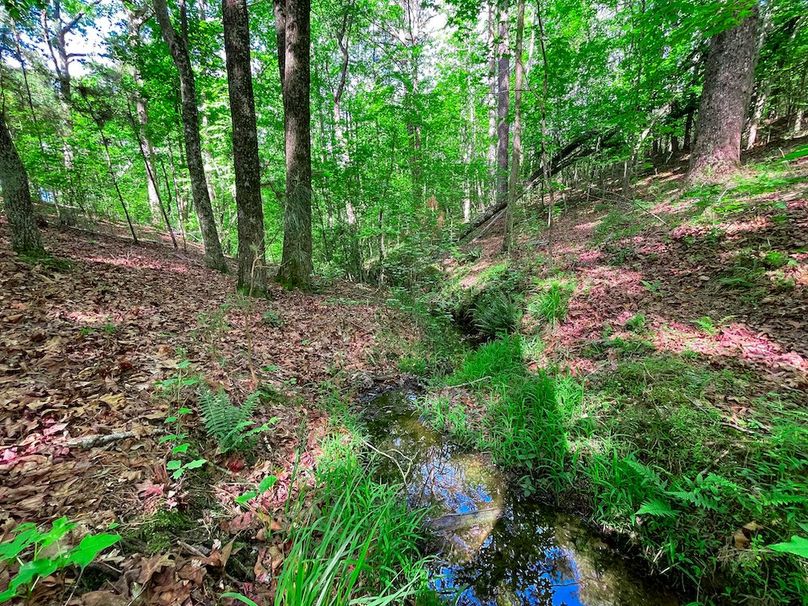 Haralson GA 100 McIntyre-51