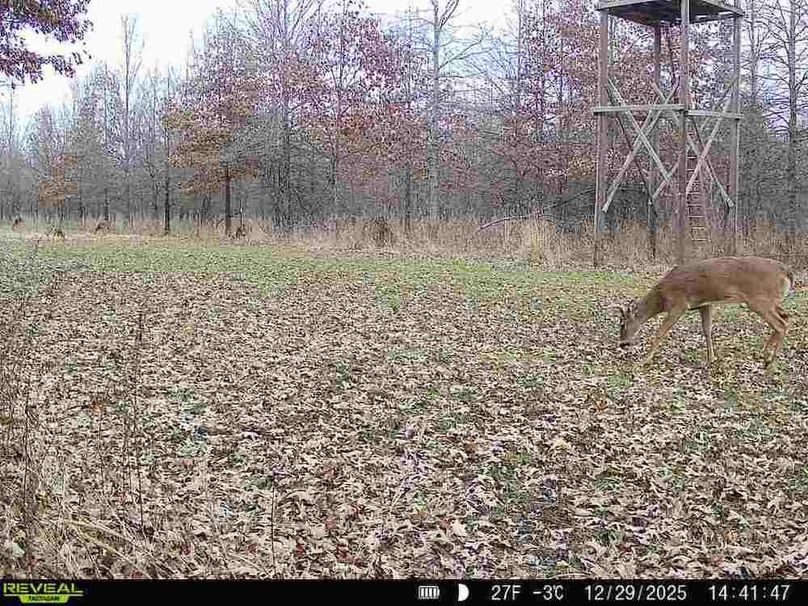 860516067536189-90-2-12292025144146-V-W1001504