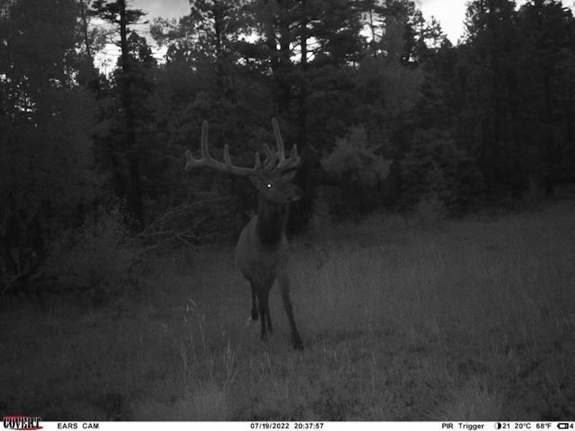 Copy of covert_1783312762